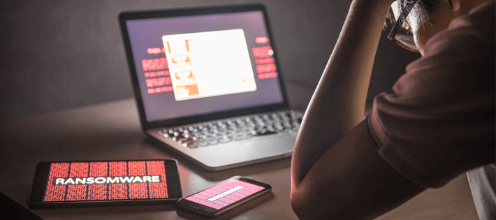 Правоохранительные органы пресекли деятельность кибервымогательской группировки Phobos