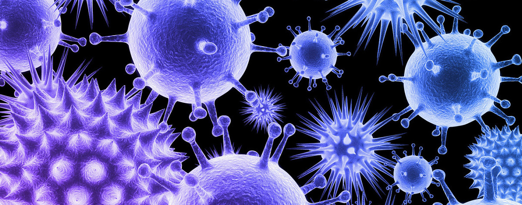 «Доктор Веб»: обзор вирусной активности в IV квартале 2024 года