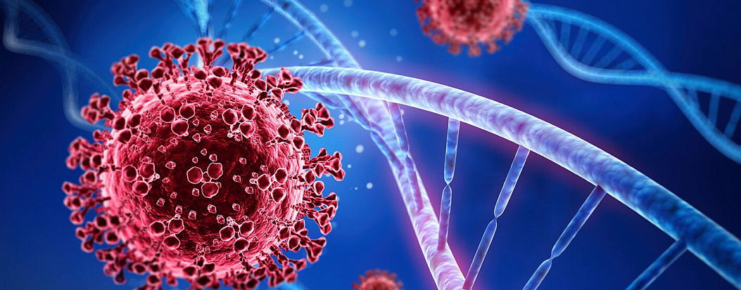 Корпорация ICANN представила данные о регистрации «пандемических» доменов