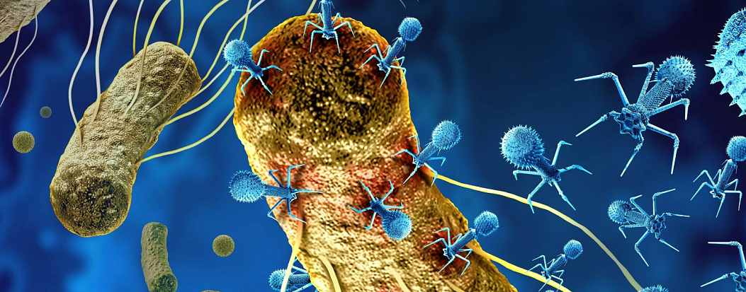 «Доктор Веб»: обзор вирусной активности для мобильных устройств в IV квартале 2025 года