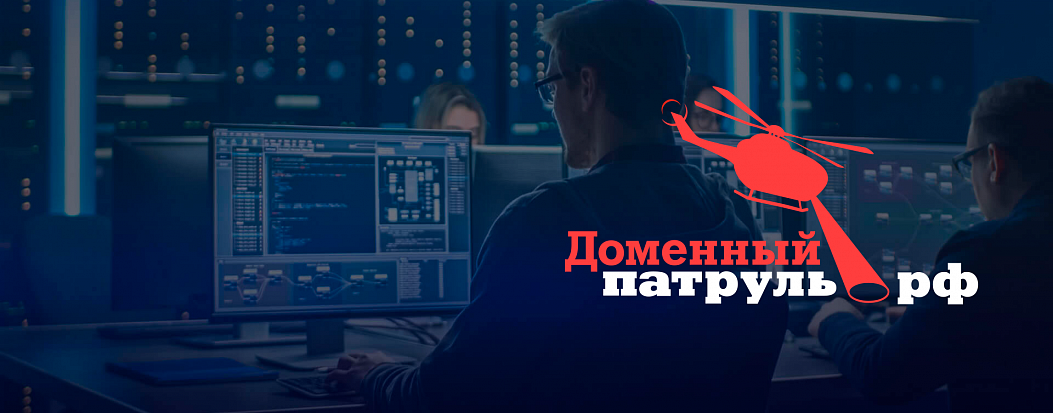 Доменный патруль: год на вахте