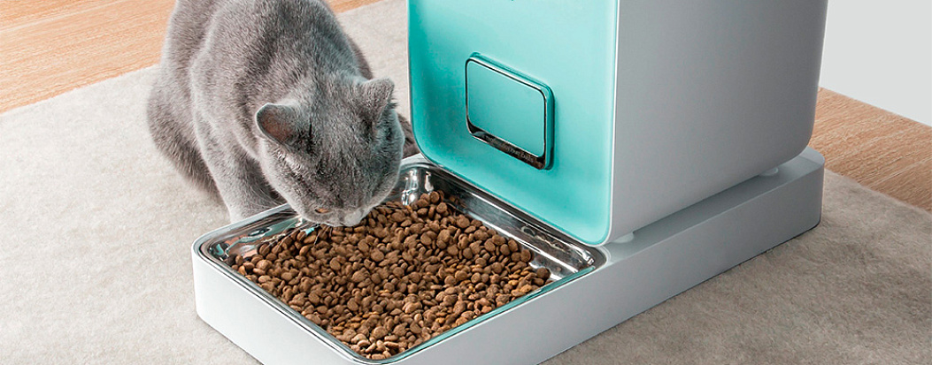 «Лаборатория Касперского» обнаружила уязвимости в популярных умных кормушках для домашних животных