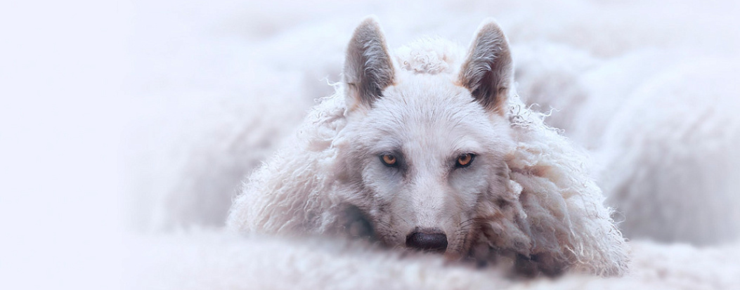 BI.ZONE зафиксировала деструктивные атаки шифровальщика на российских пользователей BI.ZONE зафиксировала деструктивные атаки шифровальщика на российских пользователей